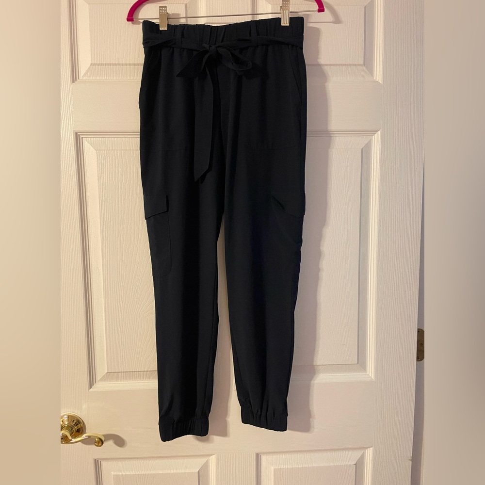 Banana Republic Navy Joggers